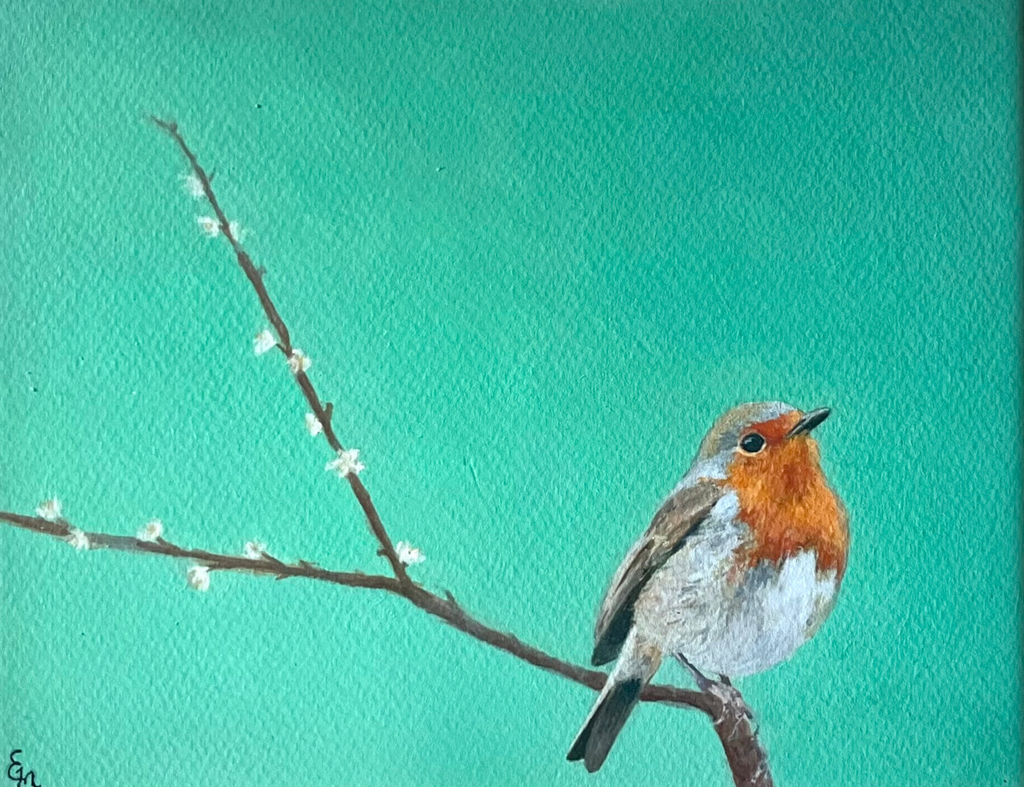 'Robin'