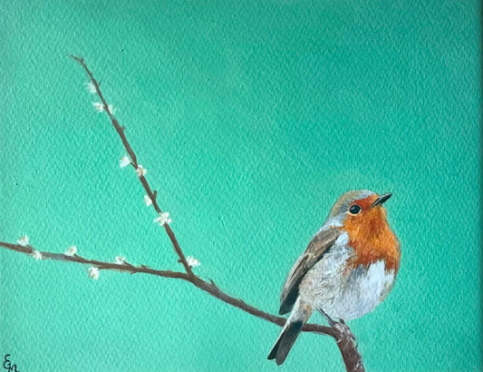 'Robin'
